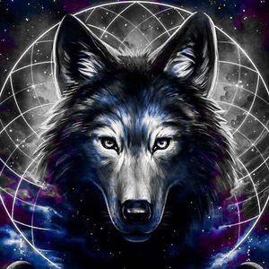 Meet your Posher, Caleb